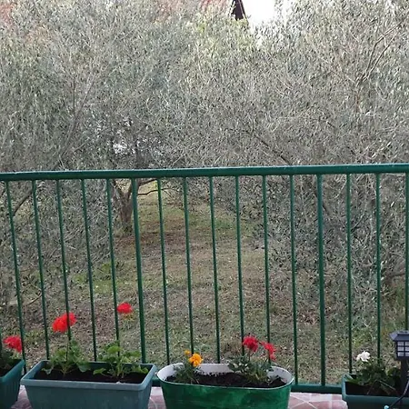 Kuca Za Odmor Kraj 32 * Kraj (Zadar)